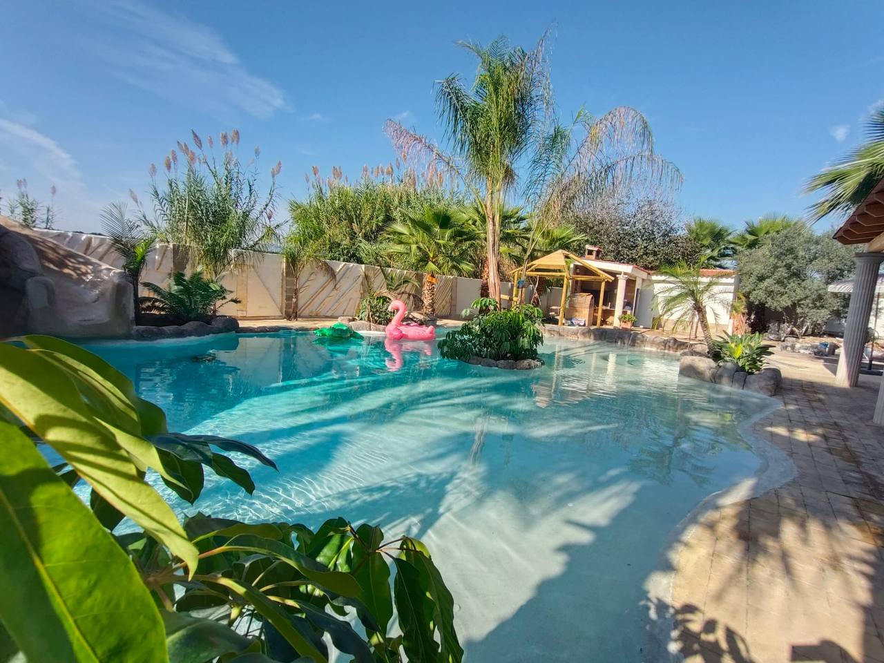 Piscina de arena residencial con palmeras tropicales